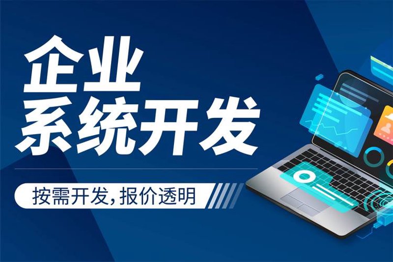 苏州软件开发：技术与创新的双重绽放
